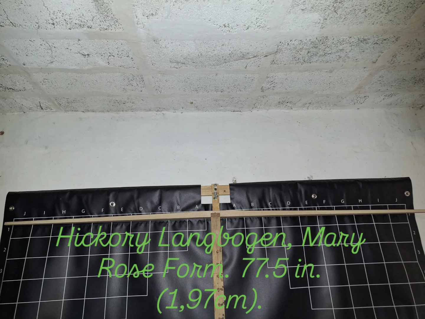 Englischer Langbogen (Mary Rose-Form) – Bild 4
